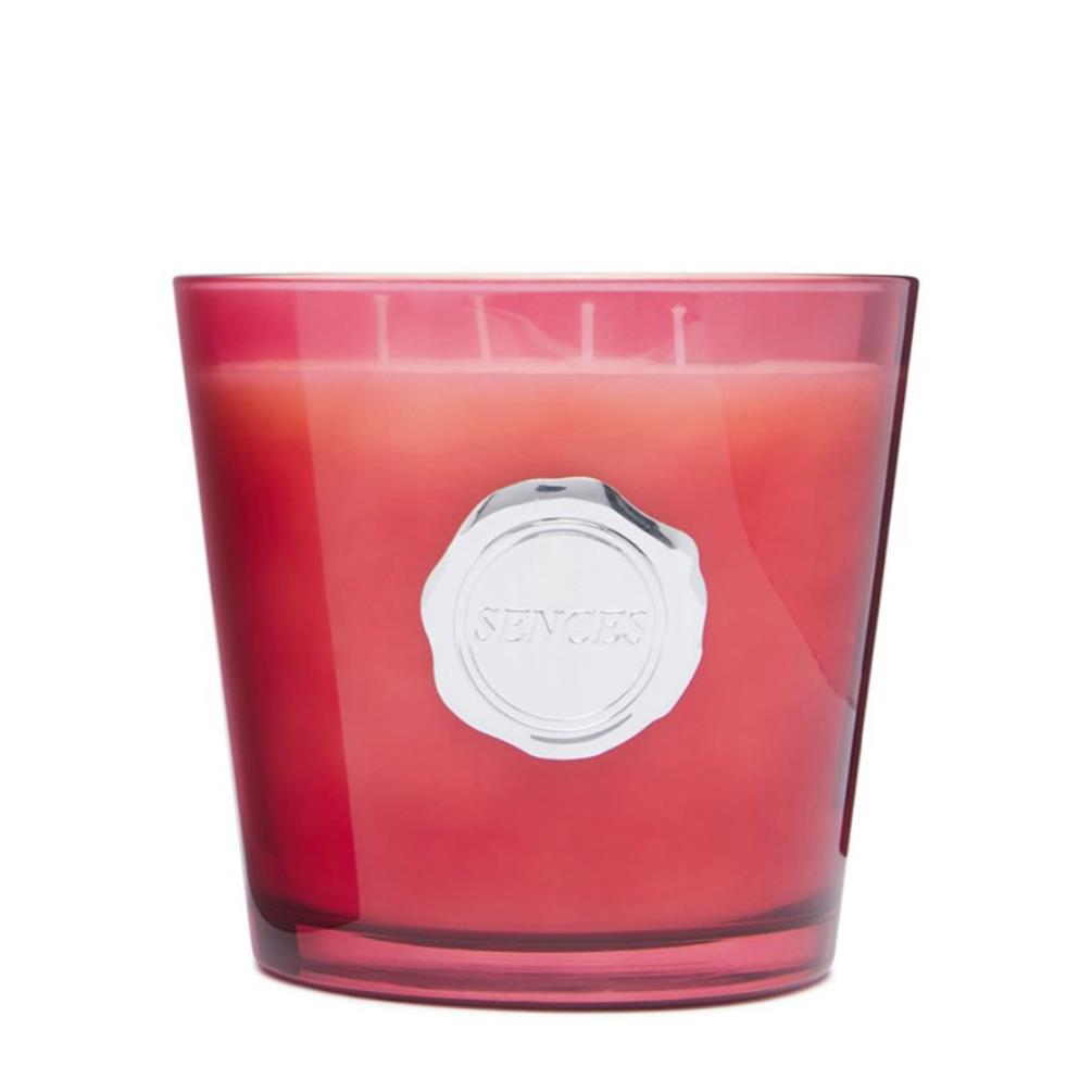 Sences Rhubarb & Ginger Boxed Luxury Candle £13.94
